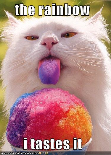 Bon Samedi Funny-pictures-snow-cone-cat-tastes-the-rainbow